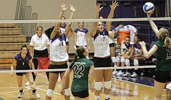 portland volleyball