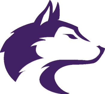 washington sports logo