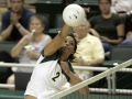 oregon volleyball photo