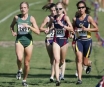 Ducks cross country