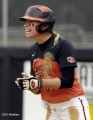 osu softball photo