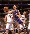 Steve Nash photo