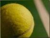 Salem-News.com Sports