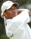 tiger woods photo