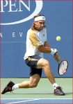 David Ferrer photo