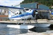 DeHavilland Beaver photo