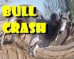 Bull crash