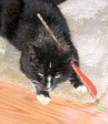 Jack Arrow photo