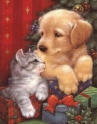 Christmas puppy and kitten