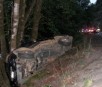 Crash scene near Elkton, Oregon 8-26-07