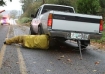 This PGE technician freed the vehicle, only to learn that his aunt was one of the people inside the vehicle.  Photo courtesy: