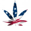 Red white and blue marijuana leaf