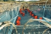 Early days at Guantanamo Bay