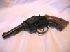 38 Special gun