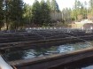The Leaburg Fish Hatchery in Oregon