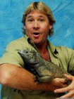 steve irwin photo