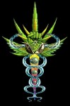 Medical marijuana logo