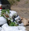 Police in Corvallis say they seized almost 8,000 plants 0-24-07