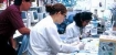 doctors working in lab