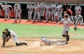 osu baseball photo