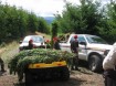 Oregon marijuana bust, 8 23 07