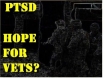 PTSD soldiers