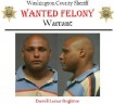 Darrell Lamar Singleton