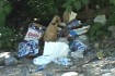 carver park trash