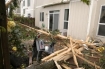 tree home damage