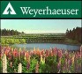 Weyerhaeuser logo