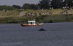 Coast Guard boat, assists marine biologists with wayward whales 52007