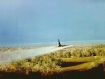 U.S. aircraft spraying the defoliant Agent Orange on the Vietnamese jungle countryside.