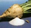 Sugar beets