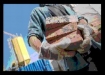 man with bricks