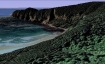 Cape Lookout and the beach below