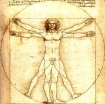 Da Vinci's Vitruvian Mang 