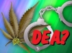DEA marijuana arrest