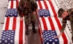 Caskets aboard military plane