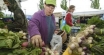 Farmers Market in Oregon