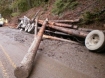 Fatal log truck crash near Vida, Oregon 4 Feb, 2010