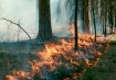 Oregon wildfire file photo