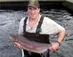 Large rainbow trout 