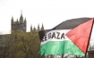 Palestine child
