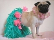 Hula doggie