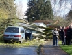 Tree versus car crash, Keizer, Oregon 2 April 2010