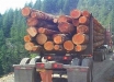 Oregon log truck