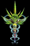 Medical marijuana