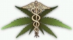 Medical marijuana