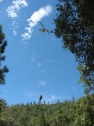 Marijuana Eradication