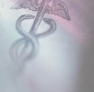 Fresenius Medical Care logo
